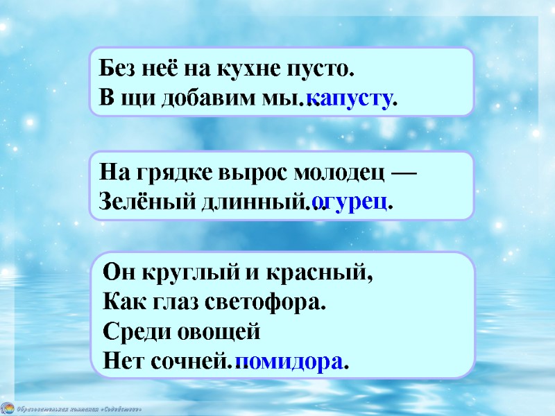 Без неё на кухне пусто. В щи добавим мы капусту. … На грядке вырос